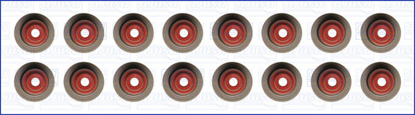 57053200.jpg